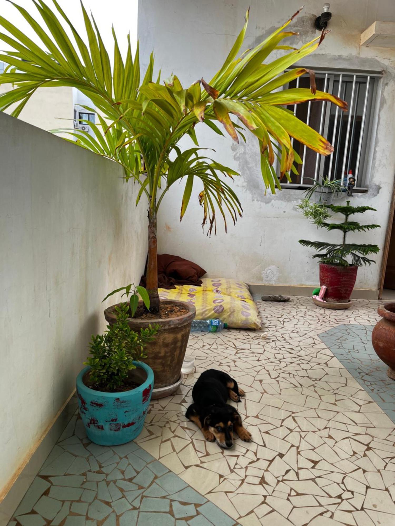 Like At Home Dakar Exterior photo